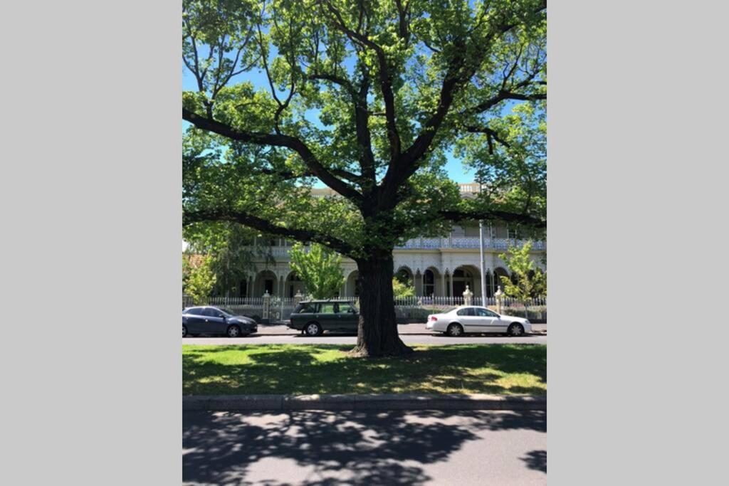East Melbourne City Studio - Amazing Location & Sunny Charm Lejlighed Eksteriør billede